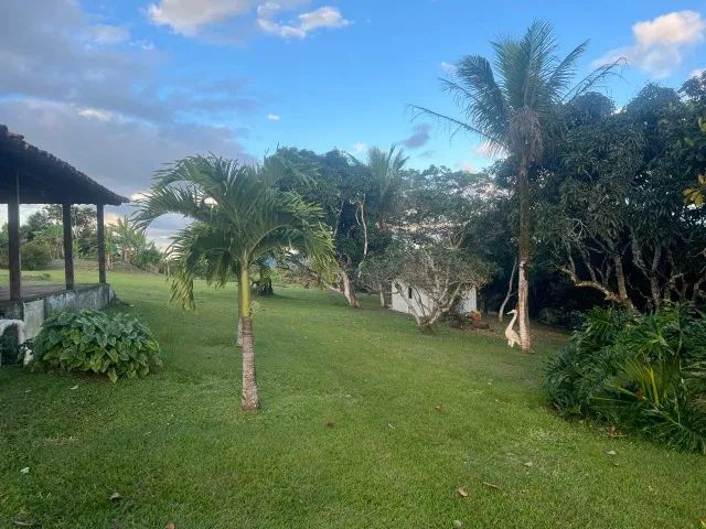 Sítio à Venda em Chã Grande - PE | Excelente Oportunidade - Foto 5