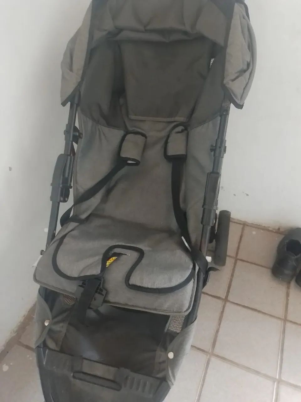 Carinho de bebê 