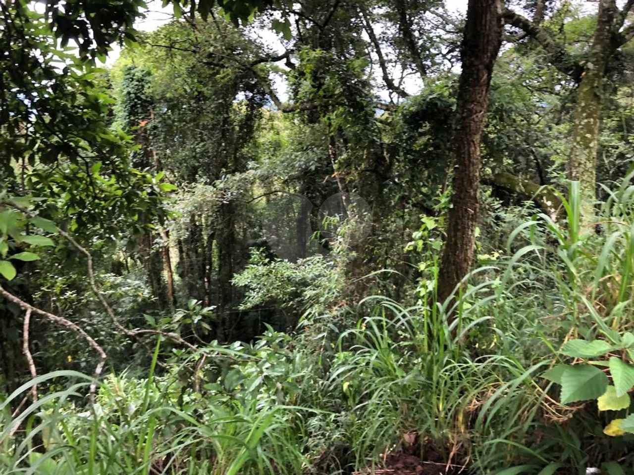 Terreno à venda em Barreiro - SP - Foto 5