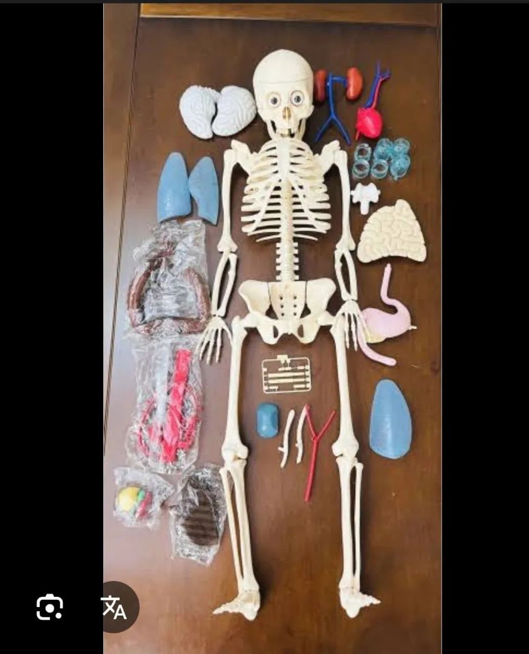 Boneco corpo humano completo salvat - Foto 2