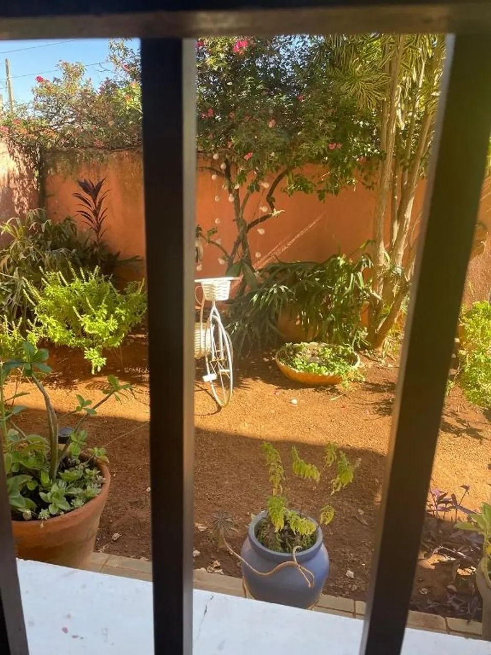 casa - Jardim Paraíso - Campinas - Foto 5