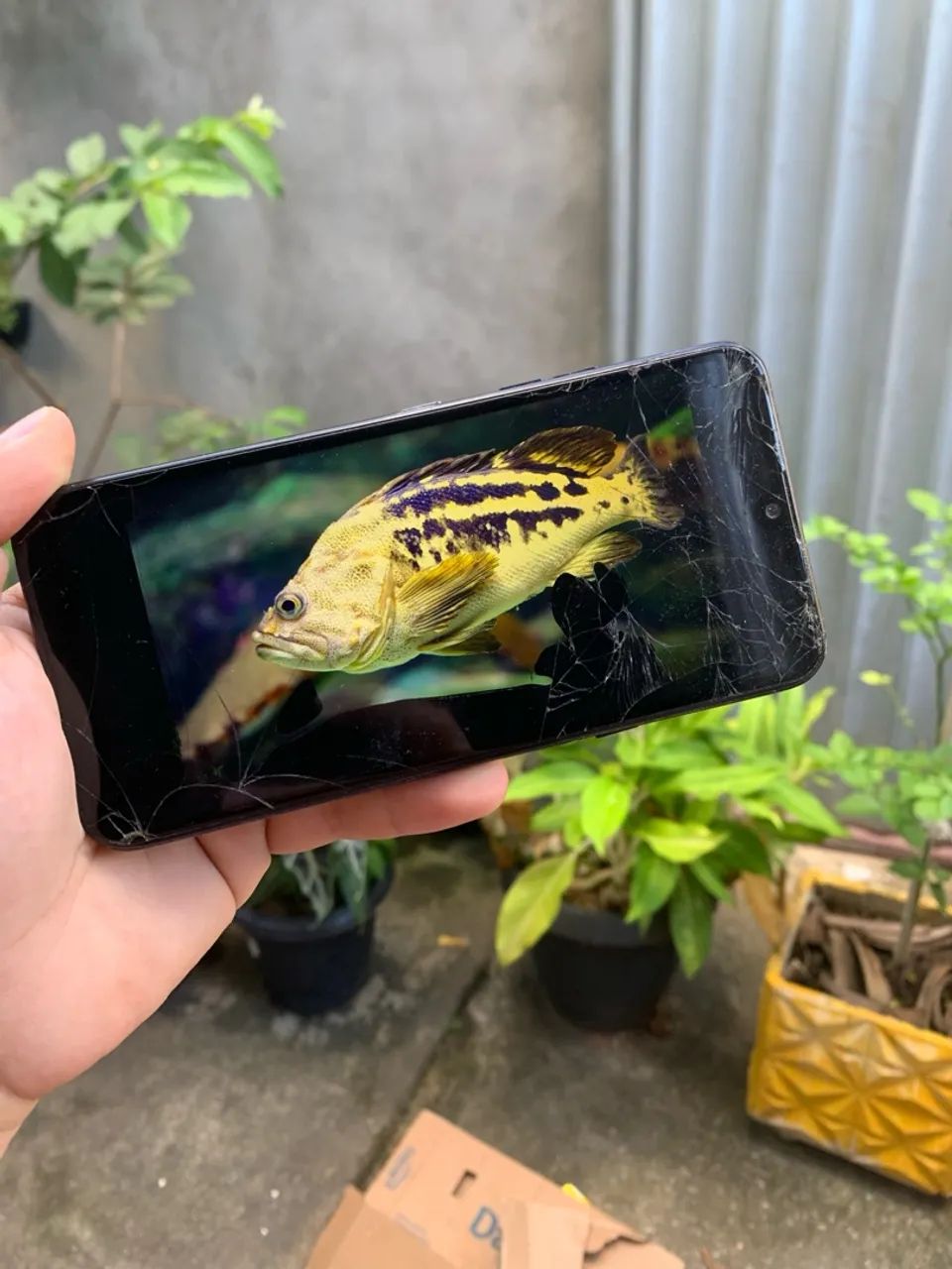 LG k40s - Foto 4