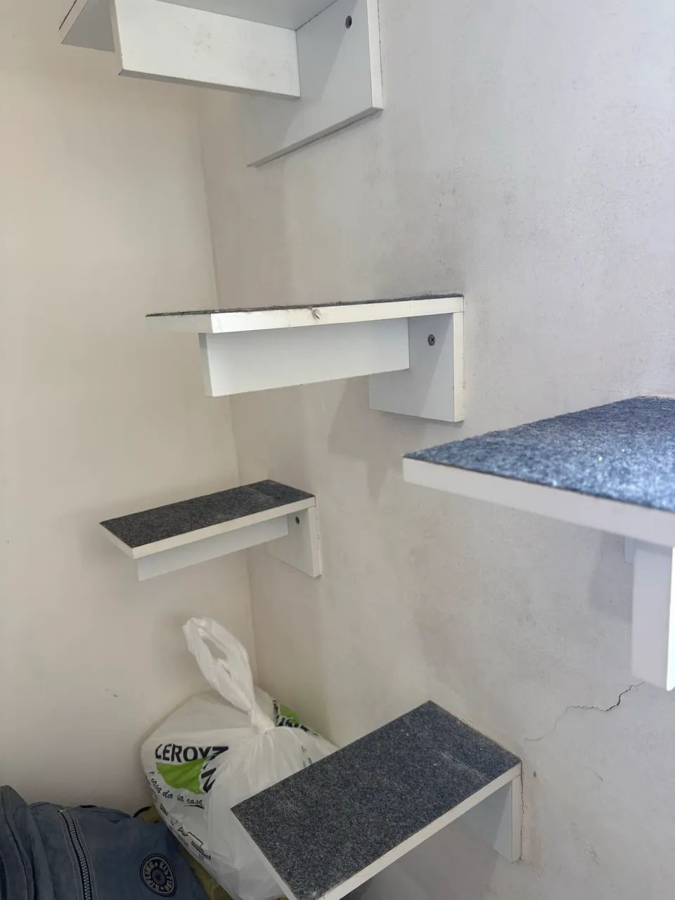 Circuito para gatos - Foto 4