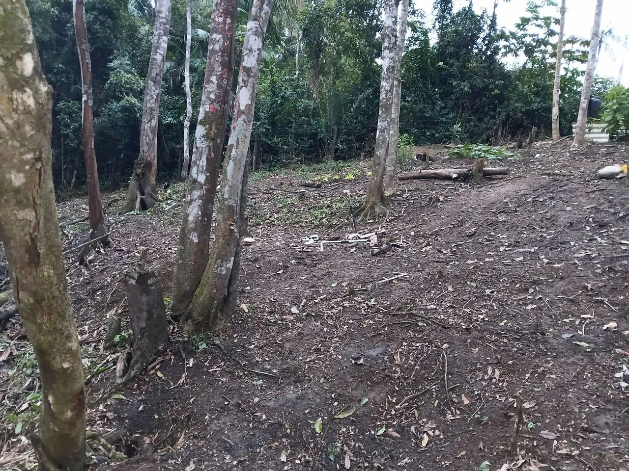 Ótimo lugar  - Foto 5