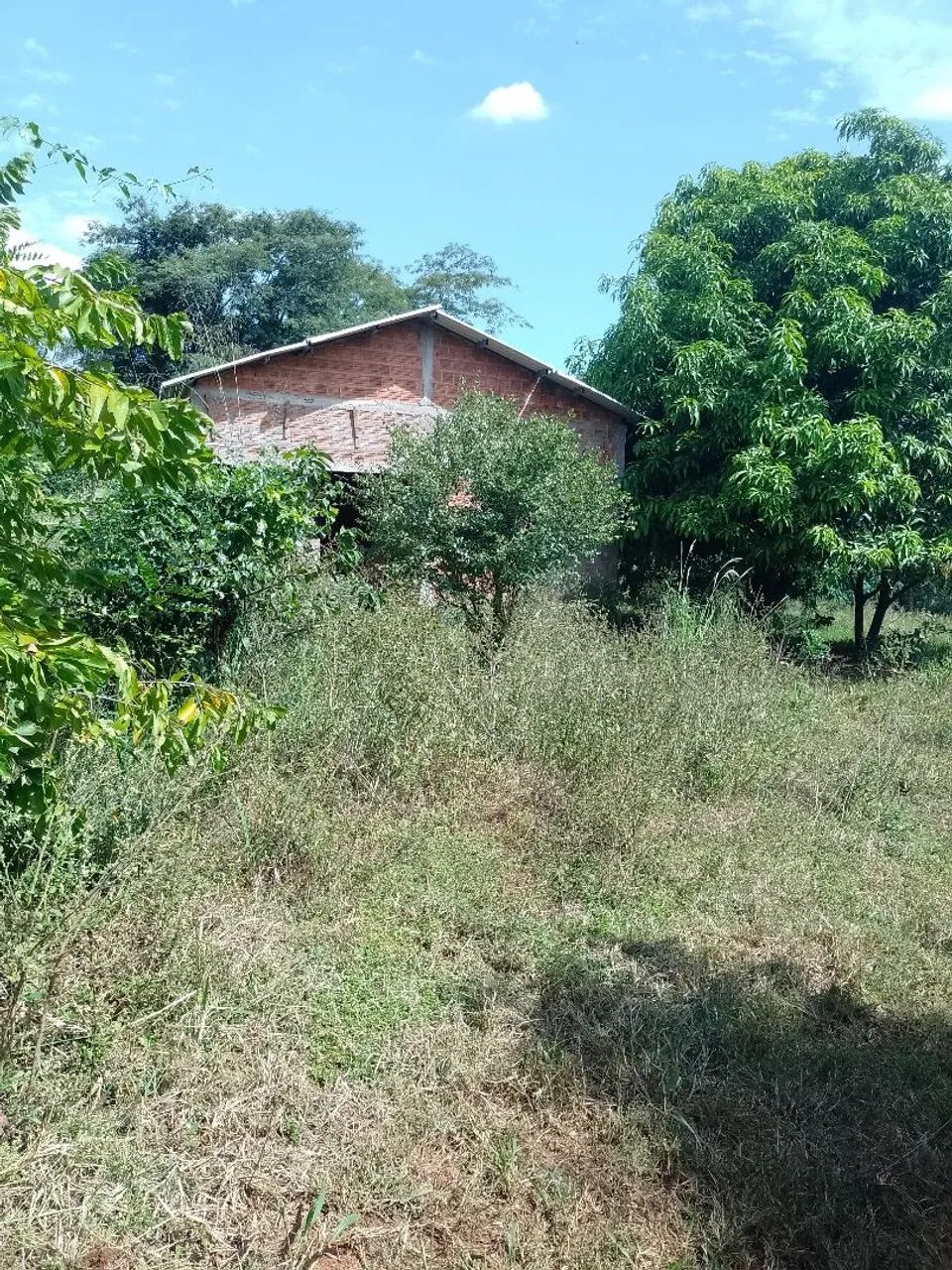 Vendo chácara  - Foto 3