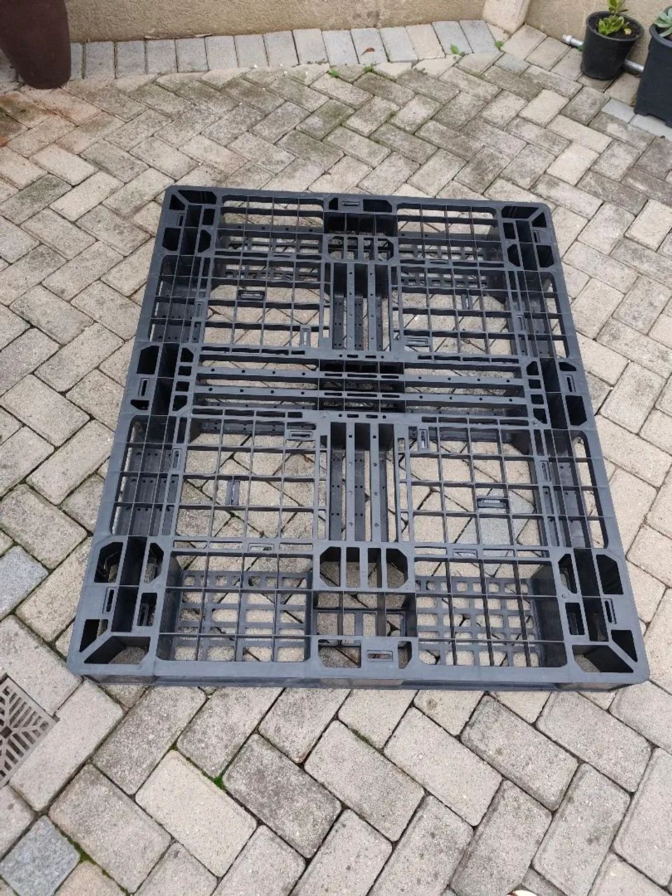 Pallet Plástico420353693378170881