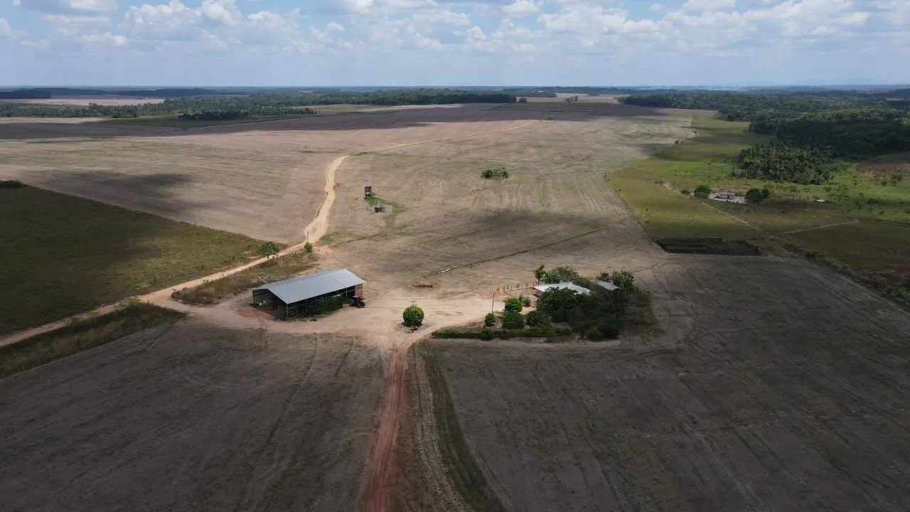 Fazenda Alto Padrão