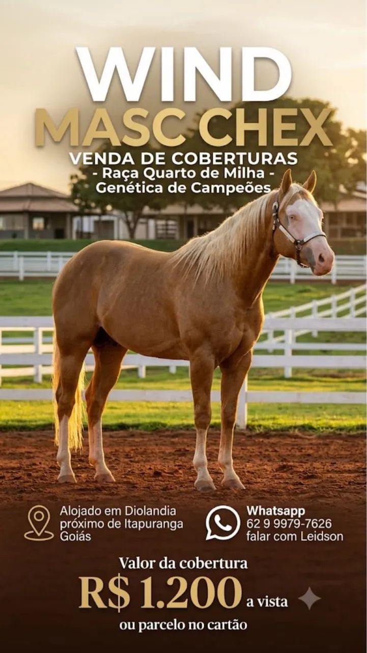 VENDA DE COBERTURAS 