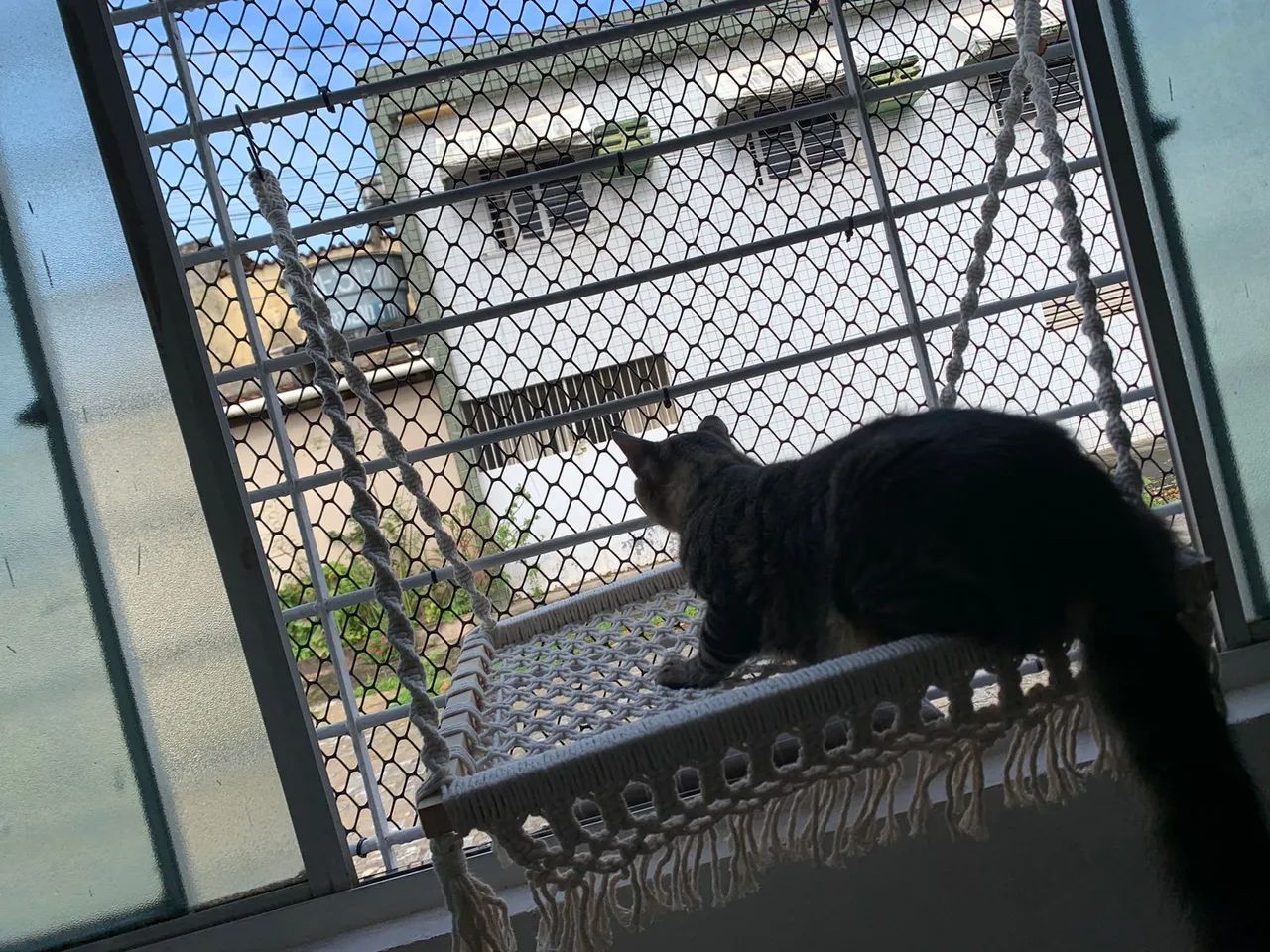 Caminha de gato  - Foto 2