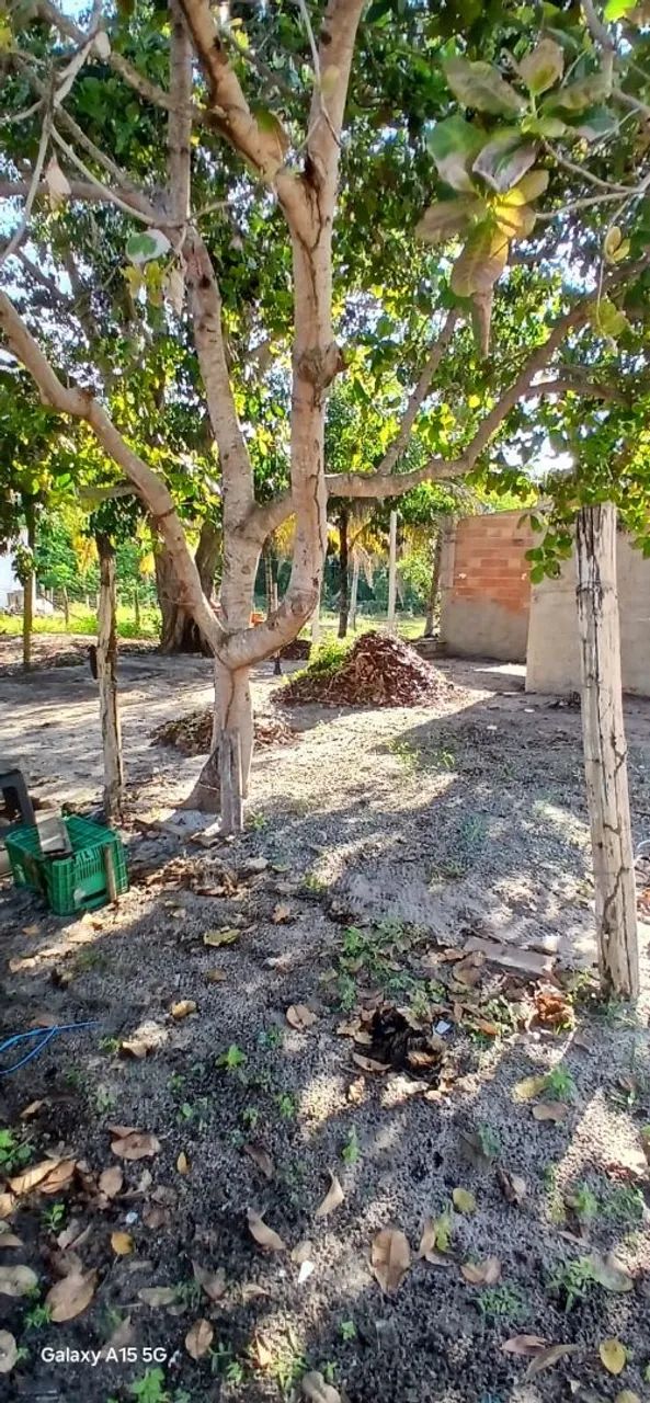 Casa no estremo Sul da Bahia  - Foto 2