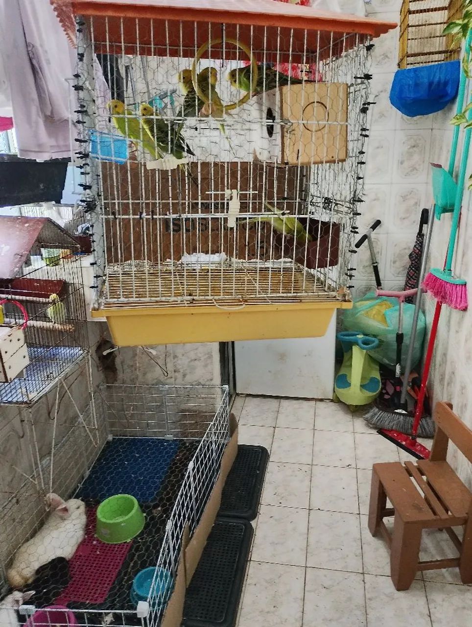 Gaiola 