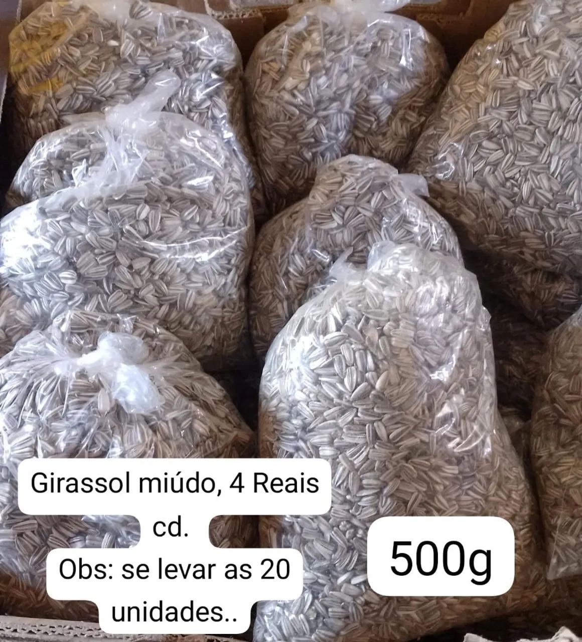 Girassol  - Foto 2