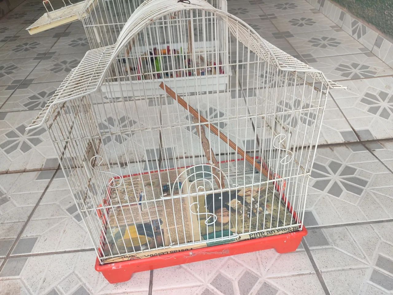 Gaiola Calopsita  - Foto 2