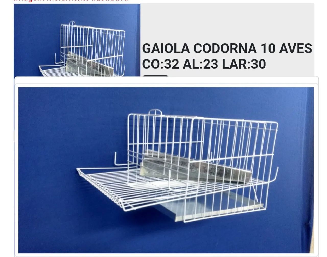 Gaiola para codornas 