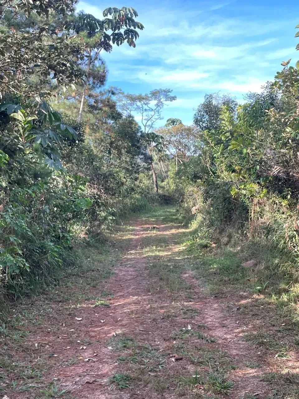Terreno em declive Mairipora - 1200m