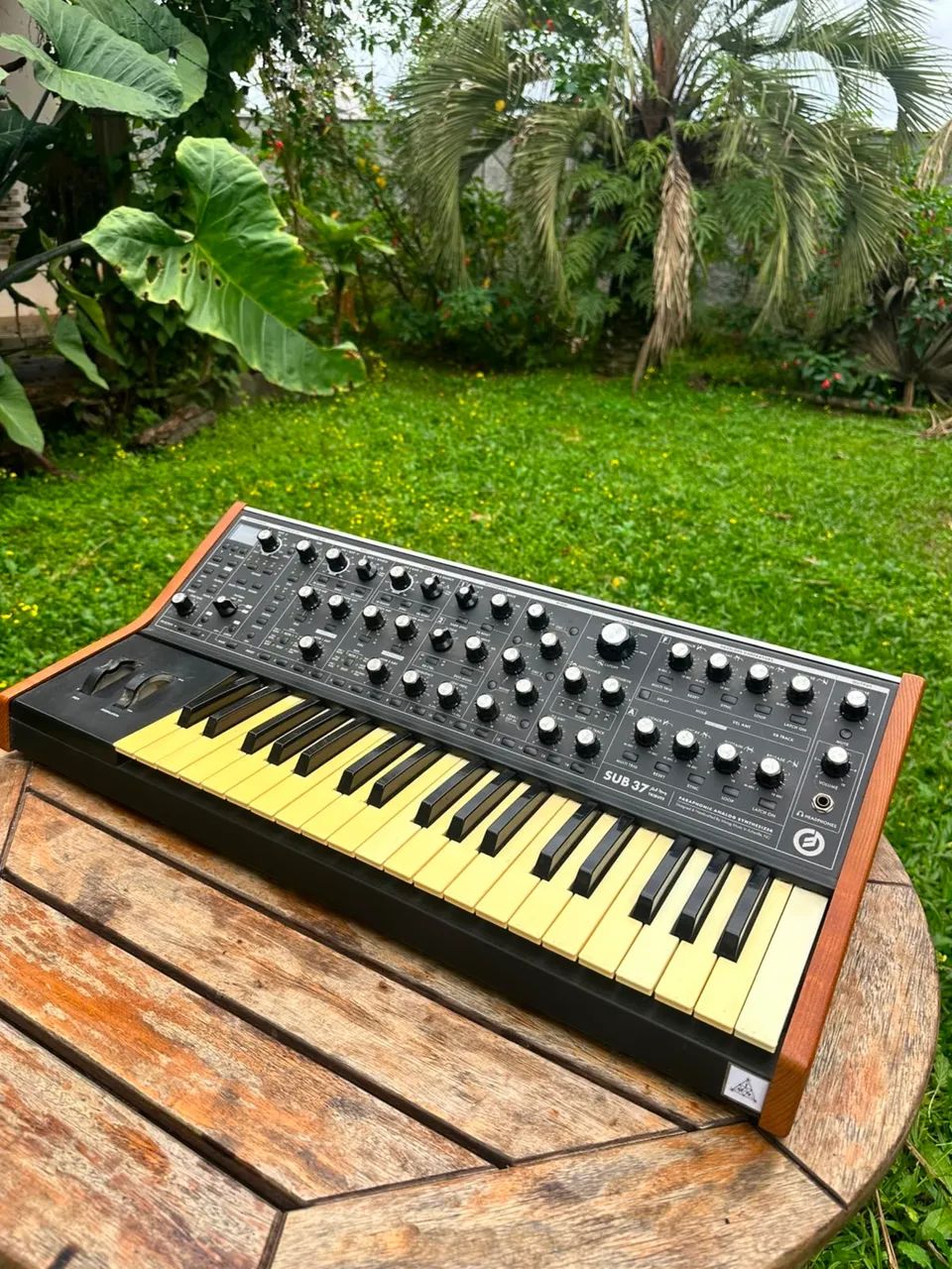 Moog subsequente - Foto 3