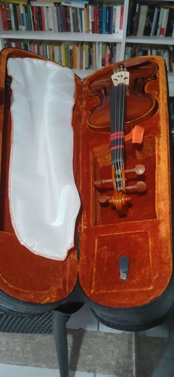 Violino - Foto 2