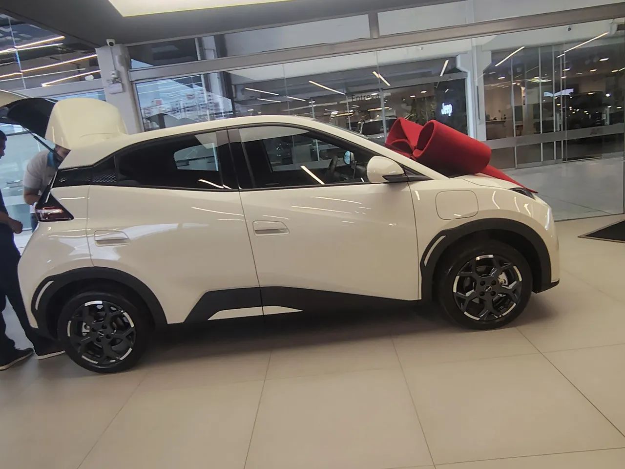 BYD Dolphin Mini (Elétrico) 2026