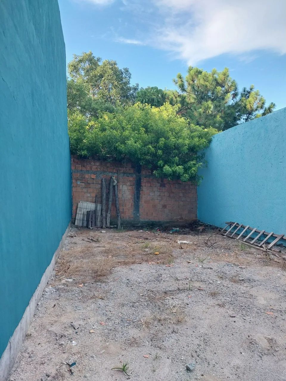 Terreno 5 x 12 Rio Vermelho - Foto 2