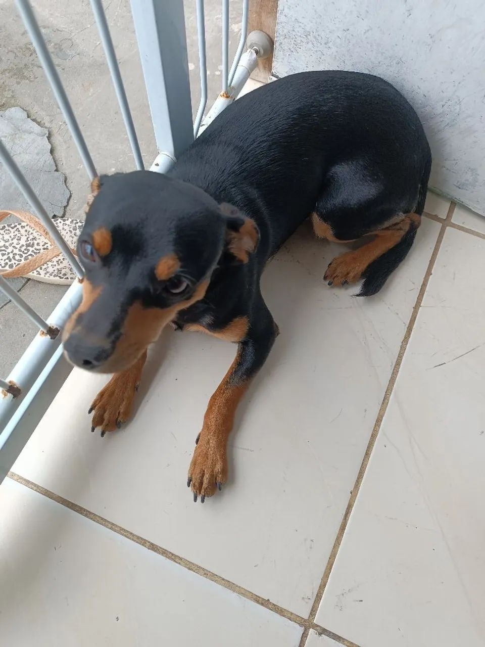 Doação 