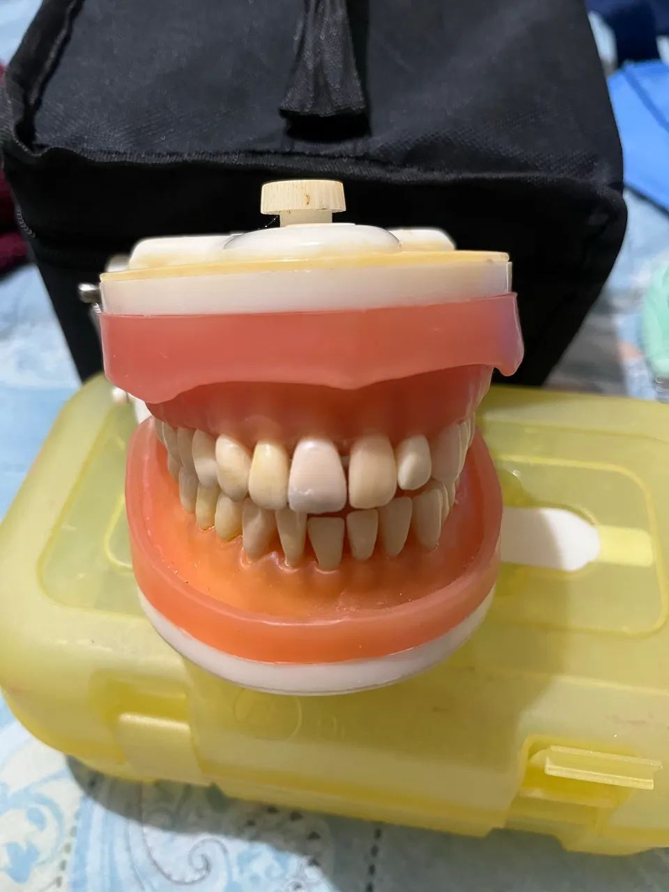 Manequim Odontologia  - Foto 2