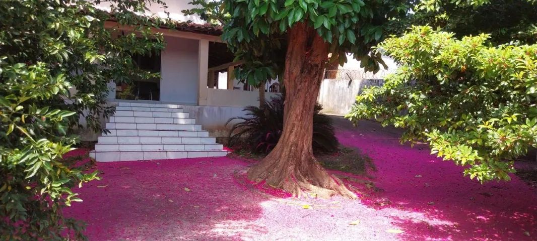 VENDO CHÁCARA COM 5.4OOM² NO TIMBUBA/PAÇO DO LUMIAR/MA  - Foto 2