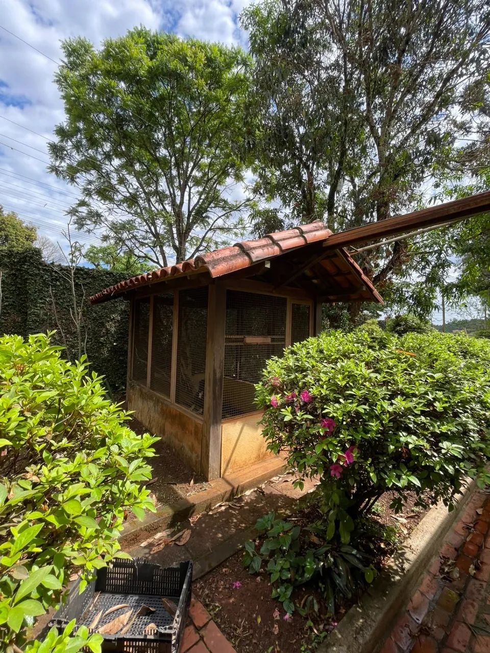 Sítio a Venda Em Mário Campos - Foto 4