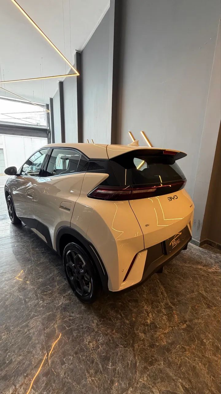 BYD Dolphin Mini (Elétrico) 2027 - Foto 4