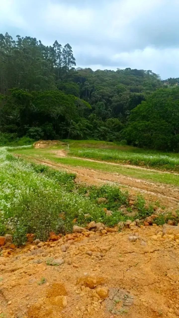Loteamento em expansão  oportunidade real de valorização! - Foto 4