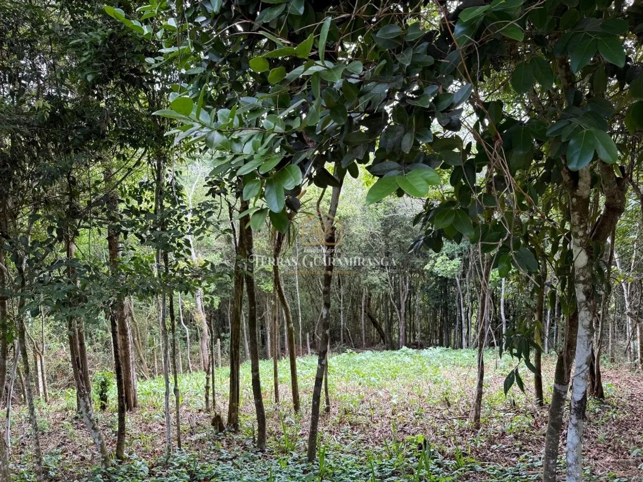 Seu Refúgio nas Montanhas de Guaramiranga - Foto 5