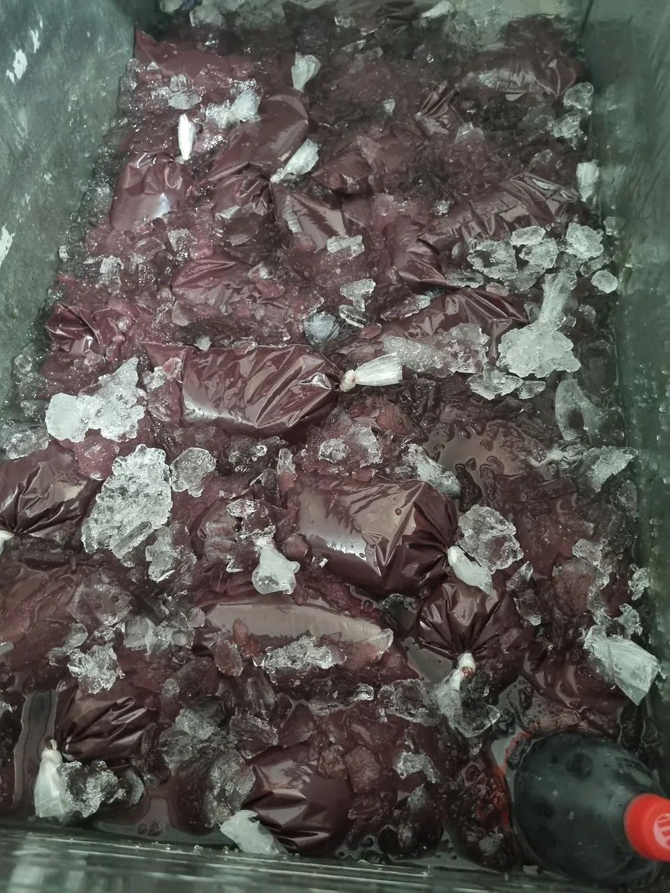 Açaí e Cupuaçu de Produção Própria! - Foto 3