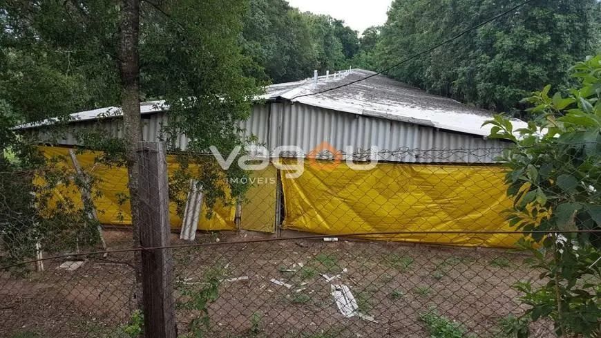 Sítio para Venda em Conchas, Área Rural - Foto 5