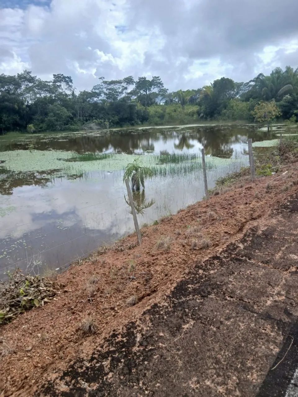 Fazenda Estrada de Altazes - Foto 2