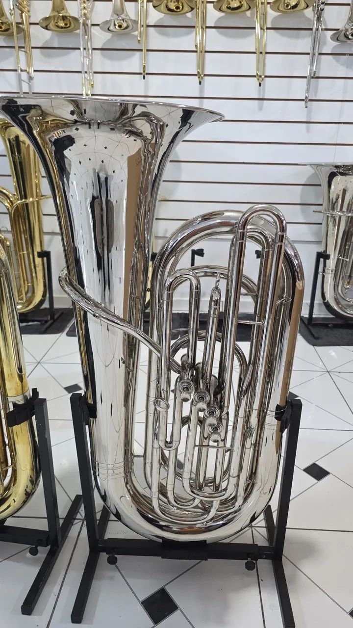 Tuba dolphin 