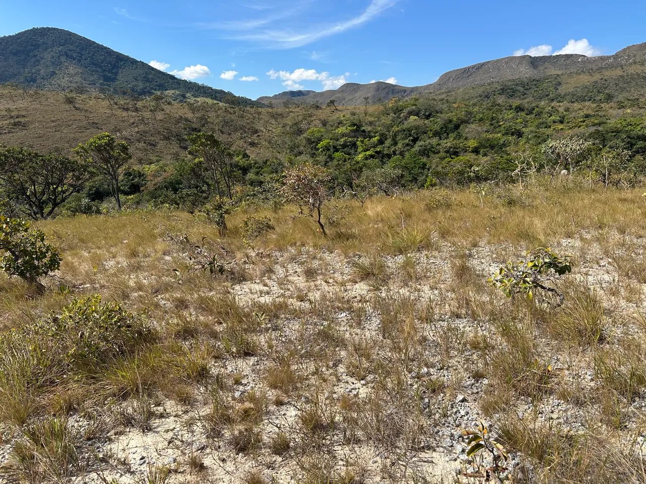 Fazendinha imperdível! 20 mil mts!!! - Foto 5