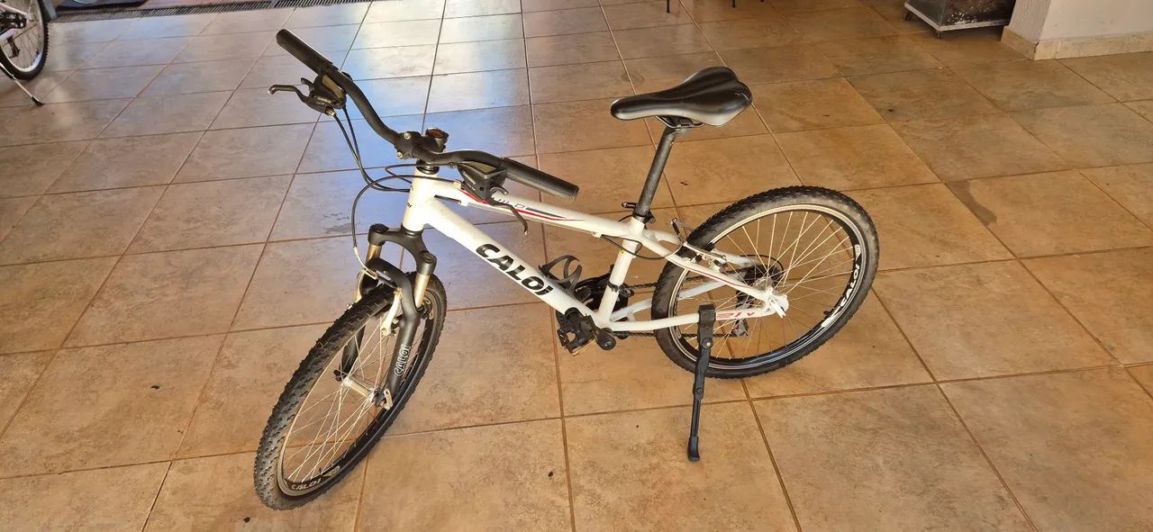 Bicicleta Caloi Wild aro 24