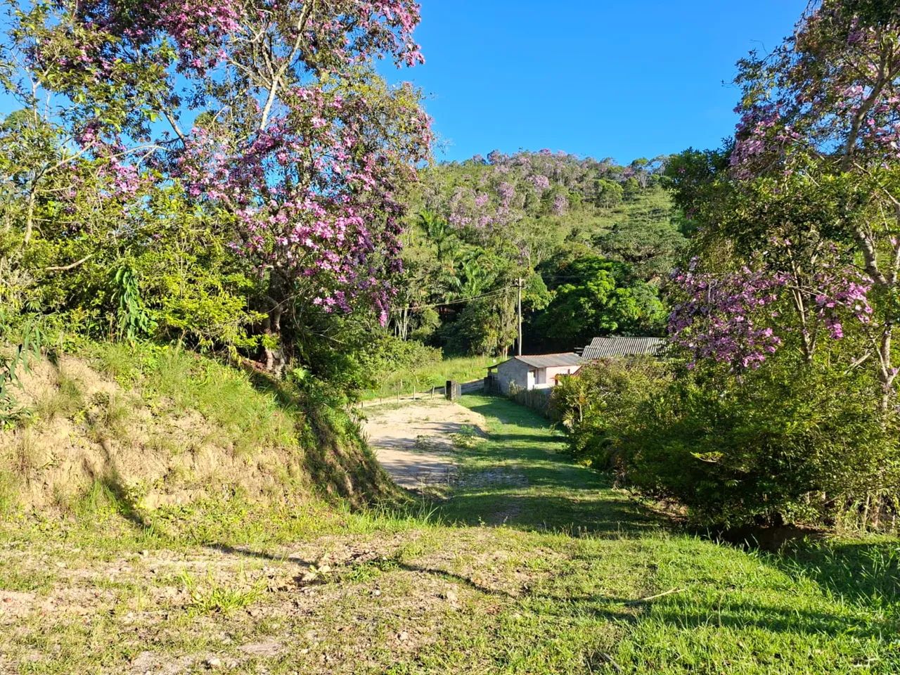 VENDE-SE CHÁCARA EM NATIVIDADE DA SERRA/SP - Foto 2