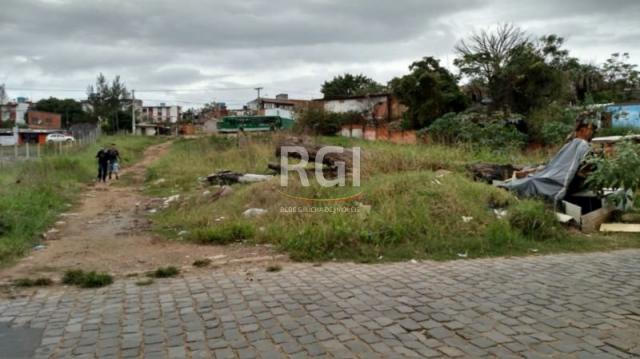 Terreno à venda em Protásio alves, Porto alegre cod:MF21973 - Foto 5