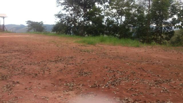 Granja em igrejinha - Foto 6