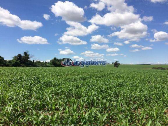 Fazenda à venda, 4982600 m² por R$ 18.000.000,00 - Centro - Santa Fé/PR - Foto 6