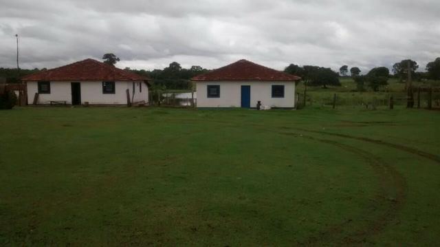 Linda Fazenda no estado de Tocantins - Foto 12