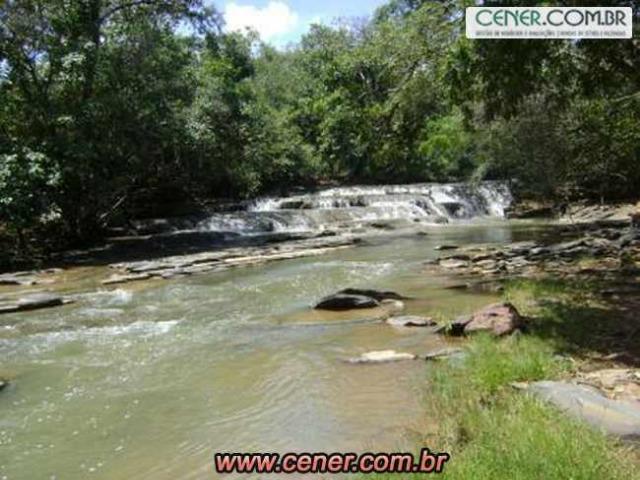 124C/Ótima fazenda de 600 hectares preparada para pecuária - Foto 11
