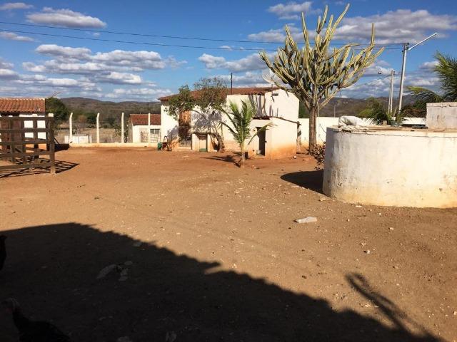 Ótima propriedade de 377 hectares,em Jataúba-PE, por apenas R$ 650 mil - Foto 14