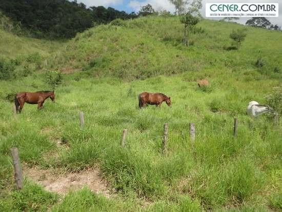 1313/Bela fazenda de 32 ha com linda casa antiga e restaurada - Foto 9