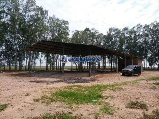 Fazenda à venda, 1817,07 alq. por r$ 36.790.000 - centro - diamantino/mt - Foto 5