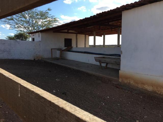 Ótima propriedade de 377 hectares,em Jataúba-PE, por apenas R$ 650 mil - Foto 19