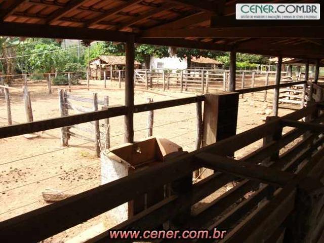 124C/Ótima fazenda de 600 hectares preparada para pecuária - Foto 18
