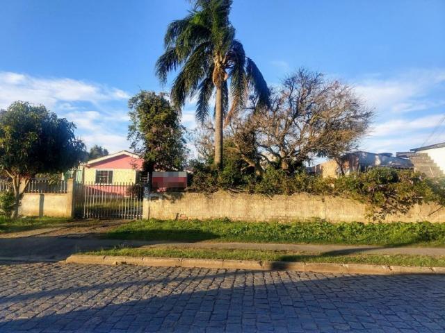 Terreno à venda, 408 m² por r$ 210.000,00 - ipê - são josé dos pinhais/pr - Foto 3