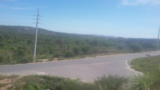 Vitória de Sto Antão=Vend. 155 mil terreno com 3.2 Hect. na BR-232 = Beira da Pista - Foto 8