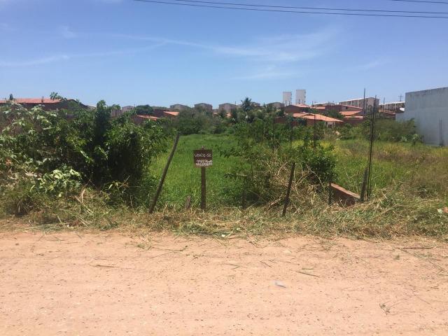Terreno